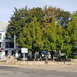 Äußeres Brühler Tor