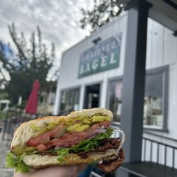 Grateful Bagel - Katie's Kaboom