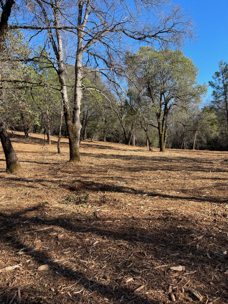 SIERRA LAND CLEARING Updated September 2024 Placerville, California