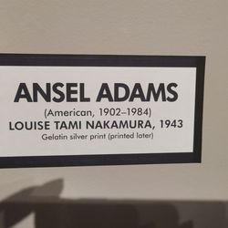 Loveland Museum