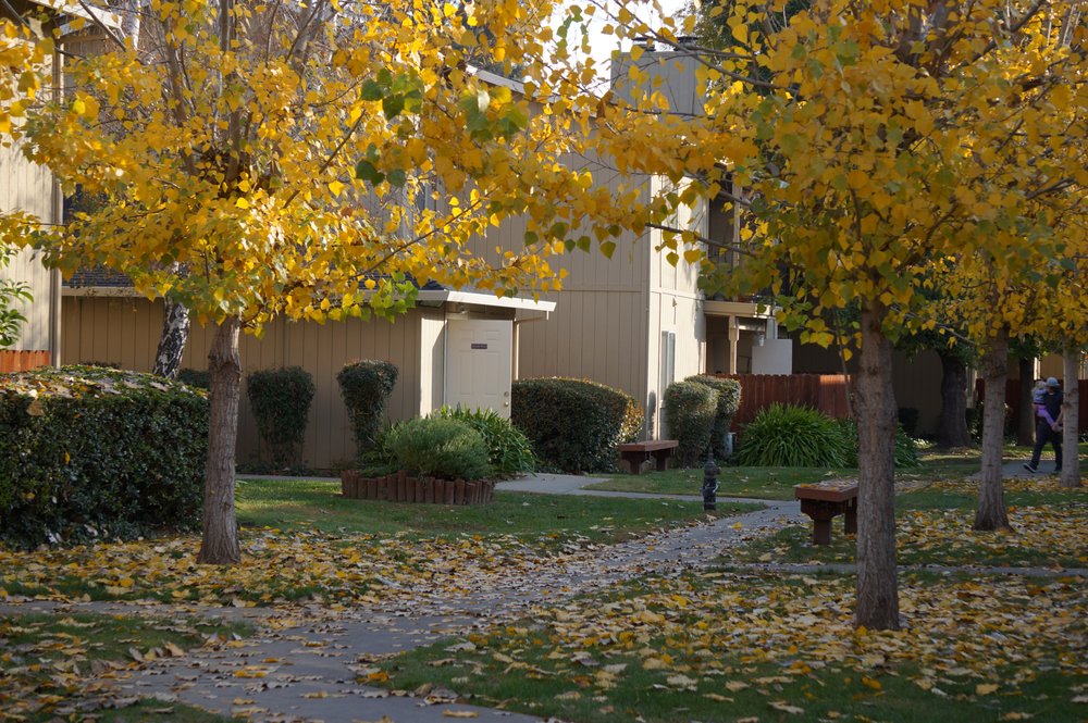 THE HIDDEN PLACE Updated September 2024 1111 Railroad Ave, Yuba