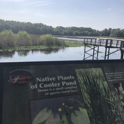 Cooter Pond Park - Signs on the boardwalk
