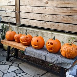 Sauvie Island Farms - Our carved pumpkins.