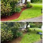 Photo of Amaya's Landscaping Services