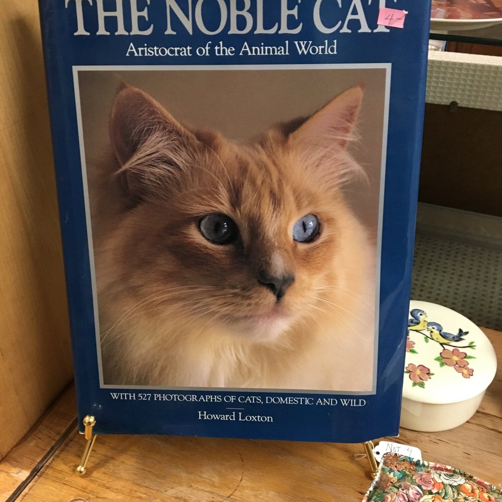 Rescued Treasures - Cat coffee table book - Thrift Stores Near Me - Walnut Creek, California Rescued Treasures - Cat coffee table book - Thrift Stores Near Me - Walnut Creek, California
