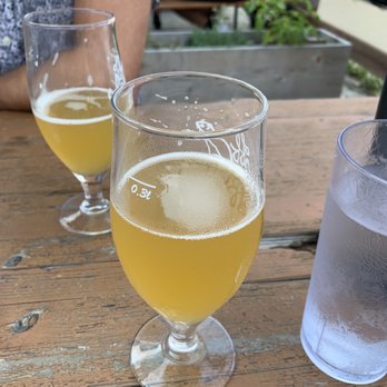 Off Color Brewing - Mousetrap - Apex Predator - Breweries Near Me - Chicago, Illinois Off Color Brewing - Mousetrap - Apex Predator - Breweries Near Me - Chicago, Illinois