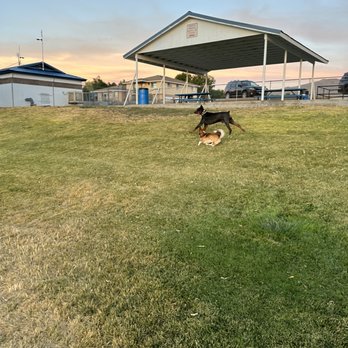 Tail Wagging Poop Patrol - Pet Waste Removal Near Me Tail Wagging Poop Patrol - Pet Waste Removal Near Me