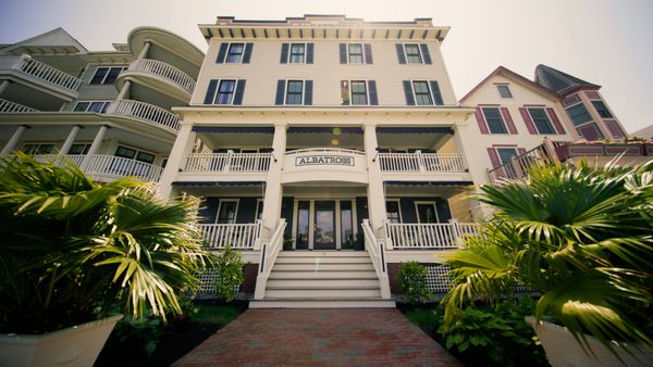 Hotel Albatross by null