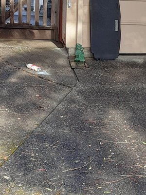 Marin Sanitary Service by null