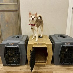Shield Kennels