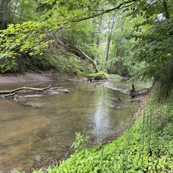Warren Woods State Park