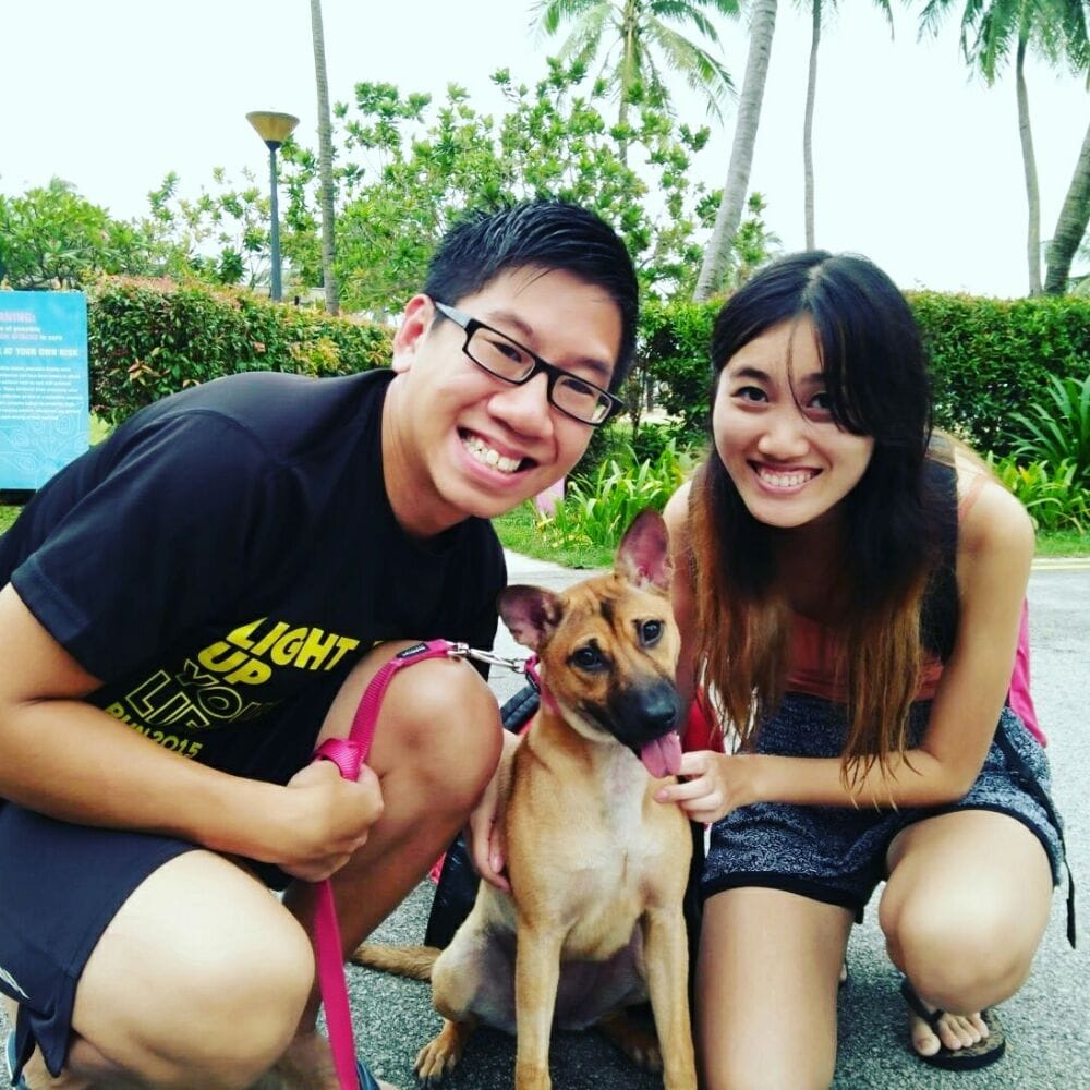 FOURKIDS FAMILY PET TAXI Singapore, Singapore Yelp