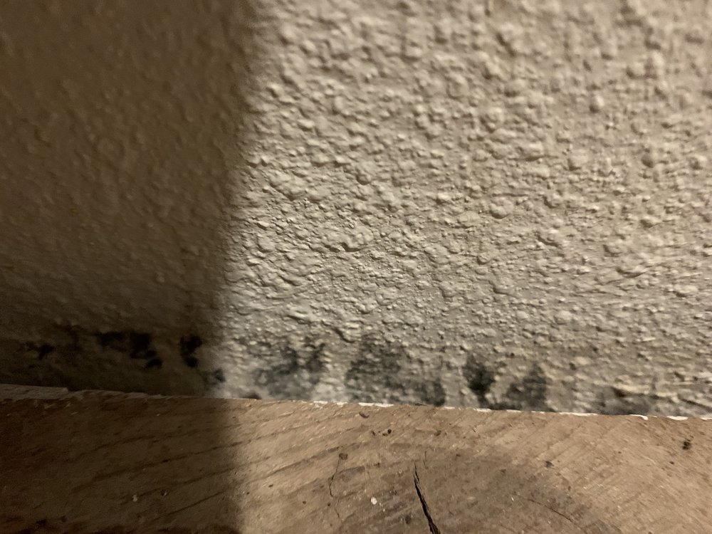 GREAT NORTHERN MOTEL 17 Reviews 5070 N US Hwy 51, Mercer, Wisconsin