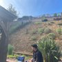 Photo of Vega’s landscaping and tree service