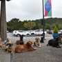 Photo of Bite Club K9 Training