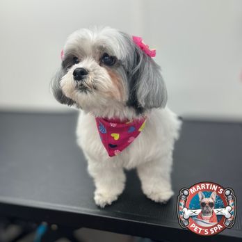 Martin Mobile Pet Grooming - Pet Groomers Near Me Martin Mobile Pet Grooming - Pet Groomers Near Me