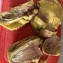 Photo of Naturalia