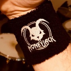 Carolina Sports Accessories - A close-up of a person wearing a black wristband with a white embroidered logo featuring a stylized horned creature and the t...
