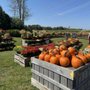 Photo of Harner Farm Market