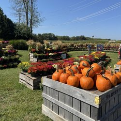 Harner Farm Market
