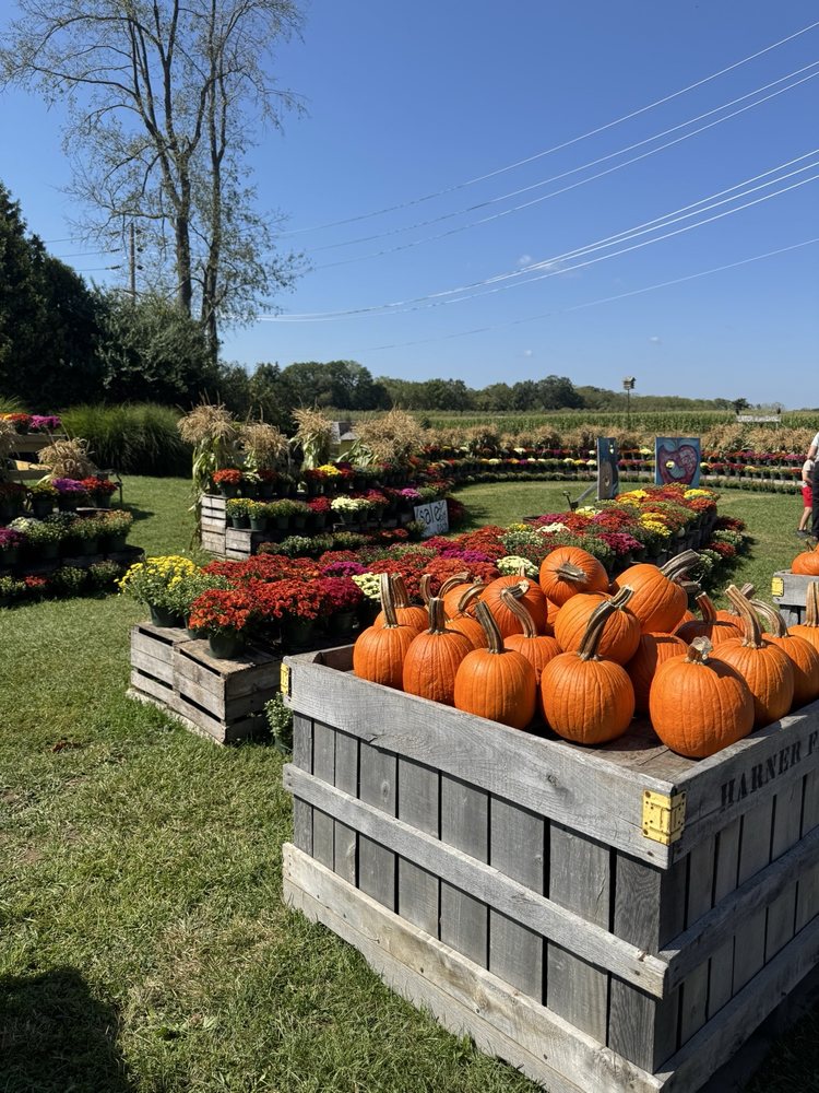 Harner Farm Market Logo