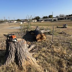 Yanez Tree Services - Tree removal at Ft. Cavazos.