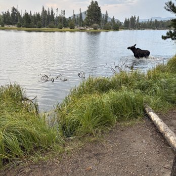 Sprague Lake - Fishing Near Me Sprague Lake - Fishing Near Me