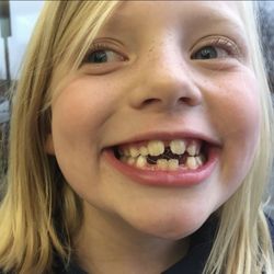 Kravitz Orthodontics