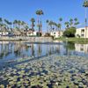 Desert Breeze Resort gift card