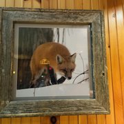 RED FOX RESTAURANT - 156 Photos & 109 Reviews - 5034 State Rte 3