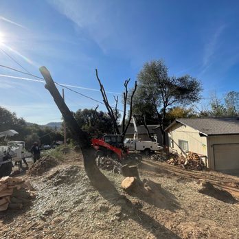 Sindelar Tree Service - Tree Services Near Me Sindelar Tree Service - Tree Services Near Me