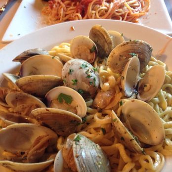 Rino's Place - Vongole perfection - Italian Near Me - Boston, Massachusetts
