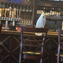 Cesar's Cigar and Spirits Lounge