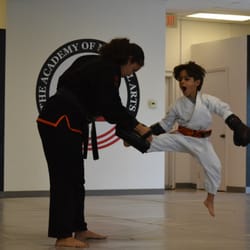 The Academy of Martial Arts