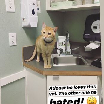 Paws and Claws Veterinary Hospital - Veterinarians Near Me - Tracy, California Paws and Claws Veterinary Hospital - Veterinarians Near Me - Tracy, California