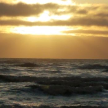 Cape Lookout State Park - Parks Near Me - Tillamook, Oregon Cape Lookout State Park - Parks Near Me - Tillamook, Oregon