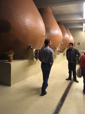 Bodegas RE by null