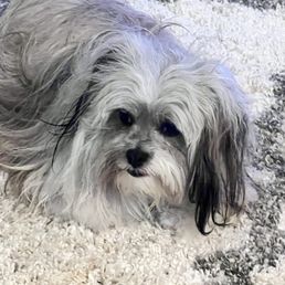 Abby after her spa treatment.