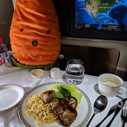 Singapore Airlines - Duck over Egg Noodles