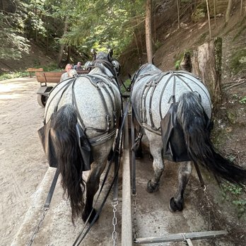 Lost Canyon Tours - Amusement Parks Near Me - Wisconsin Dells, Wisconsin