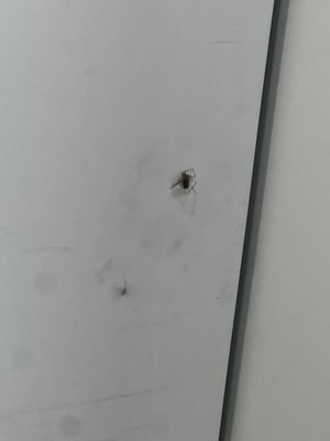 Park Kennedy by null