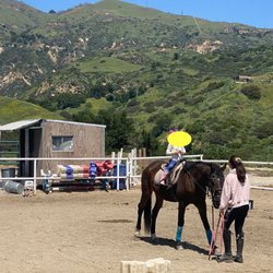 Total Equestrian Experience