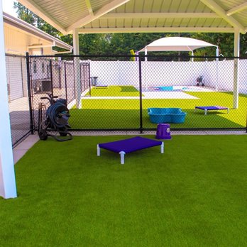PetSuites Greensboro - Pet Boarding Near Me - Greensboro, North Carolina PetSuites Greensboro - Pet Boarding Near Me - Greensboro, North Carolina