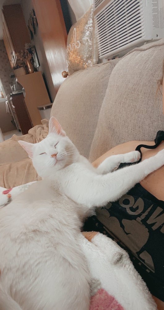 HUMANE SOCIETY OF BERGEN COUNTY Updated August 2024 221223