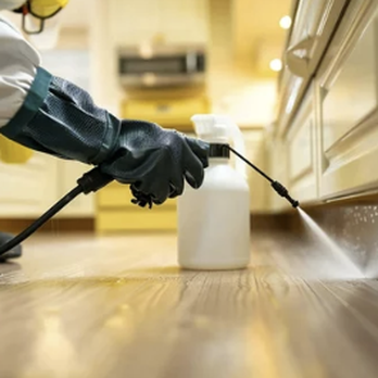 Blue Moon Termite Control - Pest Control Near Me Blue Moon Termite Control - Pest Control Near Me