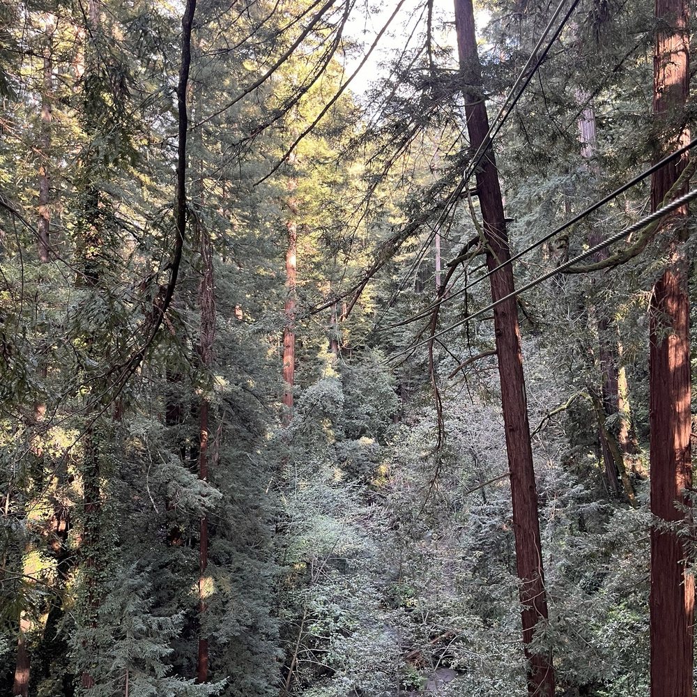 Mount Hermon Adventures - zipline view - Challenge Courses Near Me - Mount Hermon, California Mount Hermon Adventures - zipline view - Challenge Courses Near Me - Mount Hermon, California