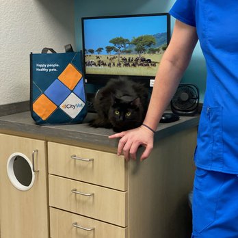 CityVet - Veterinarians Near Me - Cedar Hill, Texas CityVet - Veterinarians Near Me - Cedar Hill, Texas