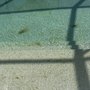 Photo of Empire State Pool Service
