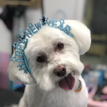 Groom Bend - Pet Groomers Near Me - Bend, Oregon Groom Bend - Pet Groomers Near Me - Bend, Oregon