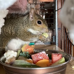 Danforth Bay Camping & RV Resort - My squirrel
